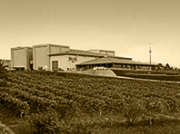 Terras Gauda Winery in O Rosal surrounded by vineyards